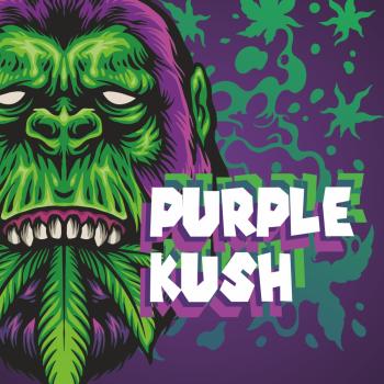 Preview: SIN TETRA | Purple Kush